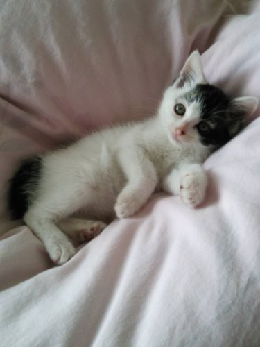 「ママがお菓子を焼くといい香りー」