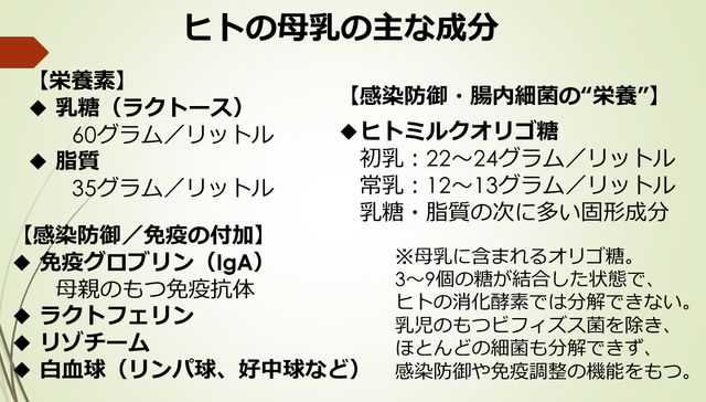 母乳の主要成分