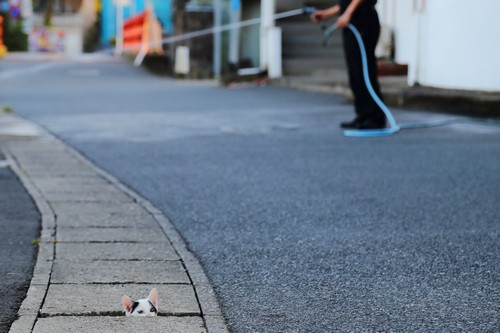 市川淳一 / 廣済堂出版