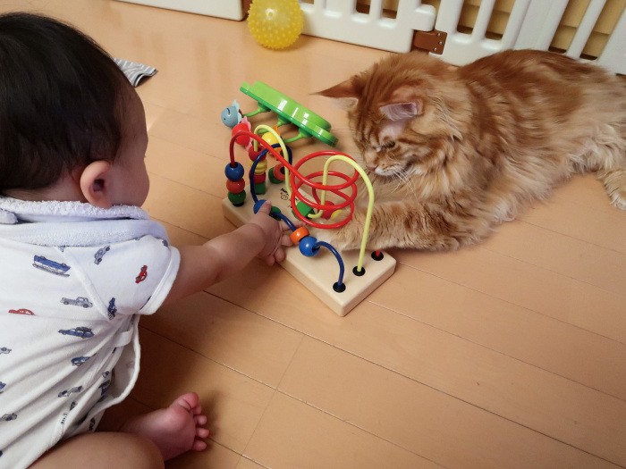 「ほらここをこう動かして」 まだまだ遊び盛りのライ。子どもたちの良き遊び相手