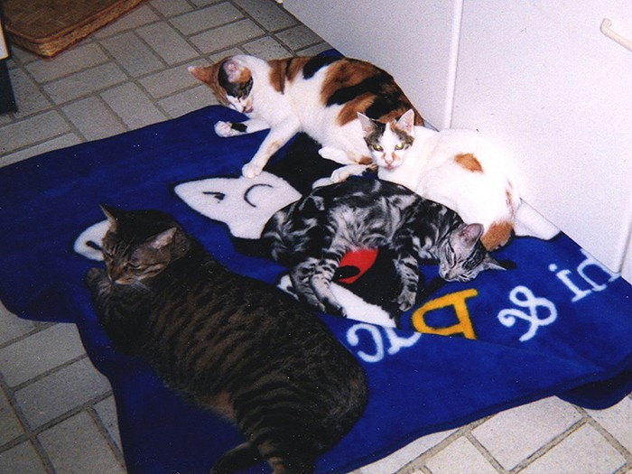 みんなビッキーが大好き