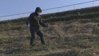 県が鳥インフル再発防止へ 観音寺市の養鶏場周辺のため池を消毒 香川