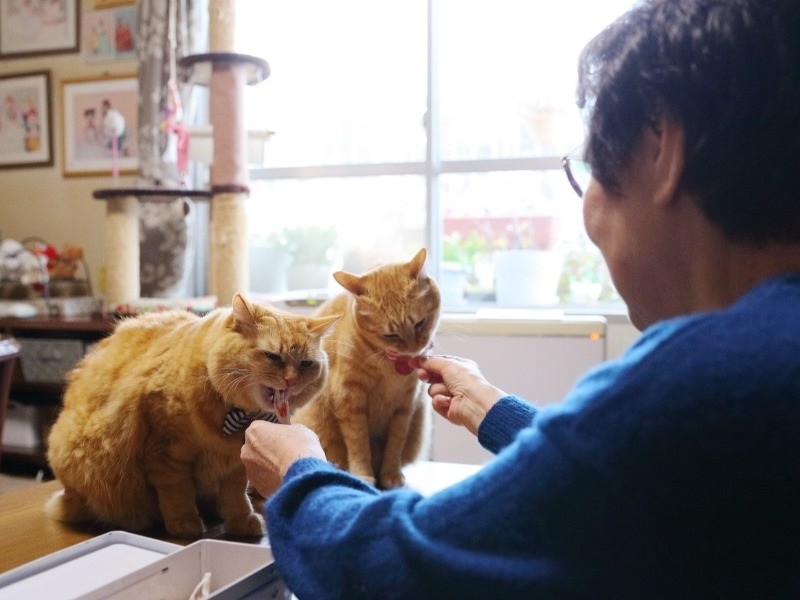 由美子さんからオヤツをもらって、むしゃむしゃ「うまー」