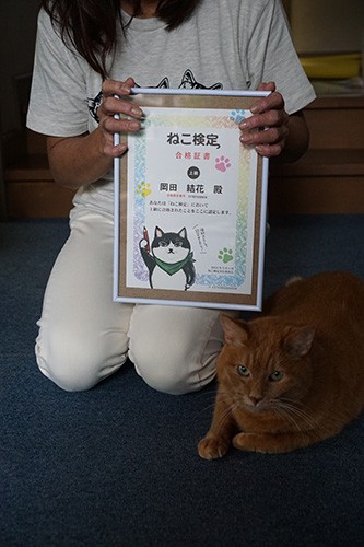 ねこ検定(上級)の合格証書。猫のことを広く知りたくて受験した。「ママがんばったね」