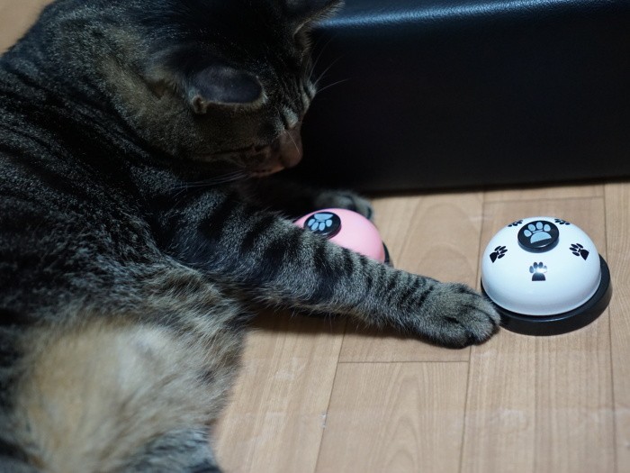 どっちのベルにしようかな