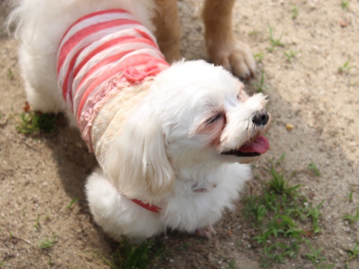ケーキをおねだり