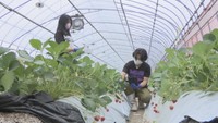 【解説】GWどう過ごす? 4月の観光客は2020年の“倍” キーワードは「密を避ける」