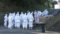 【解説】影響は広範囲に…香川県の鳥インフル「養鶏業者の懸念」