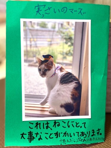 素晴らしい世界観です(Aさん提供)