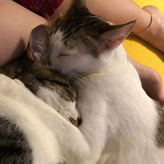 互いに無くてはならない存在