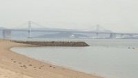 瀬戸内の島で美大生が作品制作 ワークショップで島民と交流も 香川