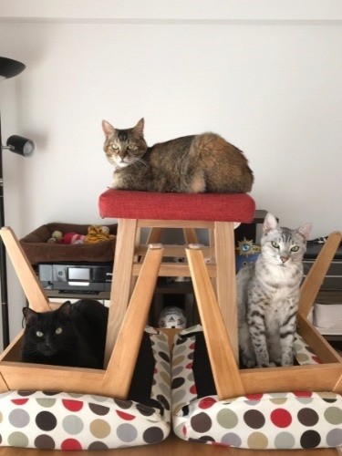 でも何があっても兄弟を従える「あたし」(河野さん提供)