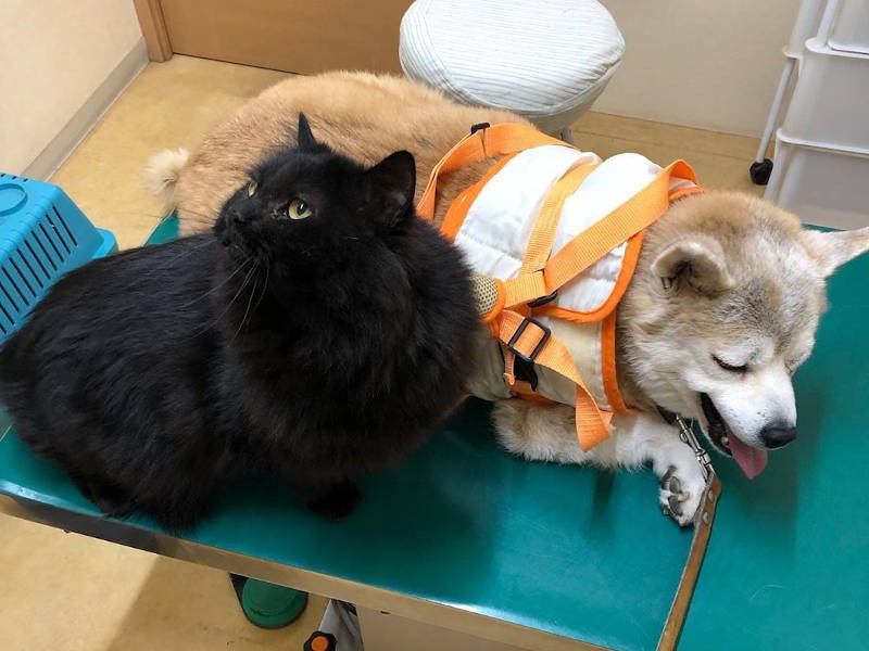 ふゆちゃんに付き添ってあげたの