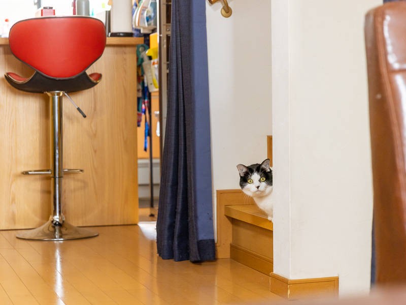 「誰?」と伺っていたのは遠いむかしの話