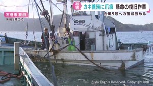 宮城県のカキ養殖に大きな爪痕 30日の津波被害