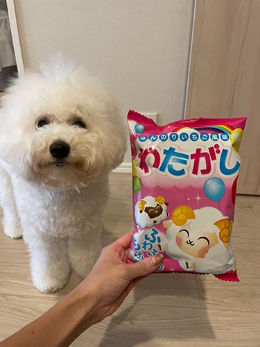 「ん? 呼んだ?」(お母さん提供)