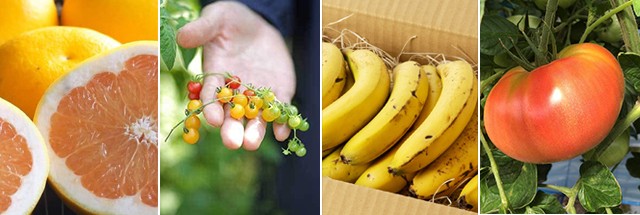 日本野菜ソムリエ協会