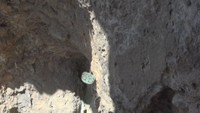 見られるのはわずか数分間…「夏至観音」が岩肌に姿を現す 香川・小豆島