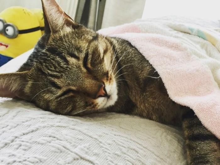 幸せいっぱい、安らいでいます