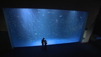 〈新型コロナ〉四国水族館 感染拡大防止で土日は休館…13日のグランドオープンも延期 香川