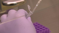 岡山県で新たに35人の感染確認 そのうち20代が13人で最多〈新型コロナ〉