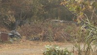吉備中央町のPFAS問題 環境省が濃度低減の実証事業開始へ 岡山