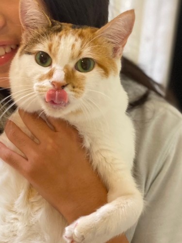 時には超絶キュートにぺろっ(Aさん提供)