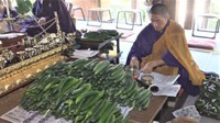 土用の丑の日に病気をキュウリに封じ込める 香川・小豆島で「きうり加持」