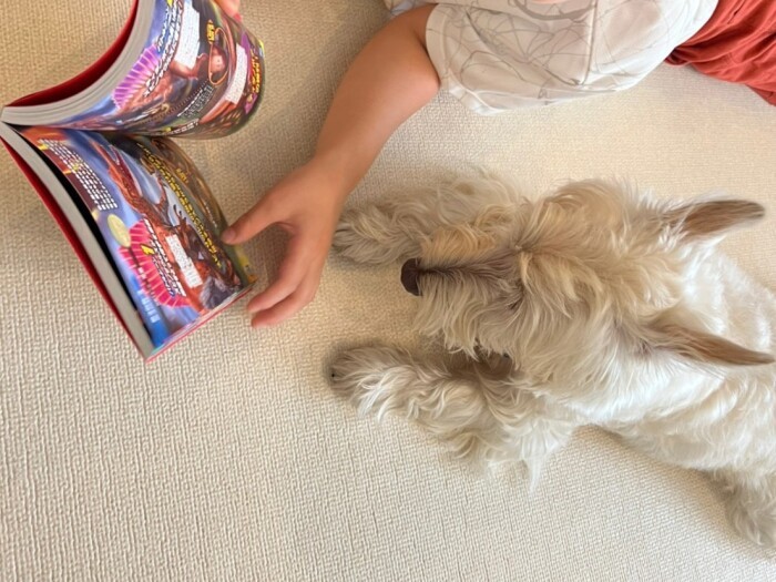 「お兄ちゃん、本読んで」。息子さんとも大の仲良しに!(お母さん提供)