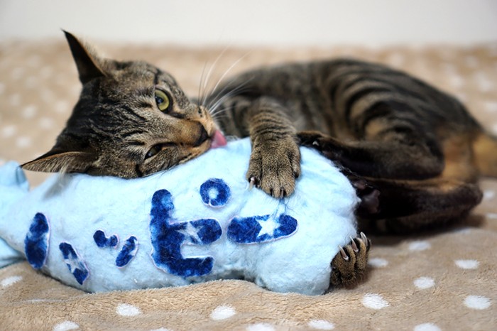 好きすぎて目がイっちゃう