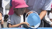 「マナガツオやイカが…」香川県にも処理水放出巡る中国の輸入停止の影響 水産資源の保護など願う放魚祭