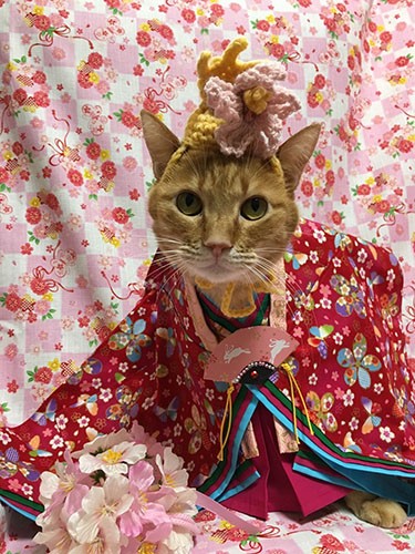 和服も素敵よね