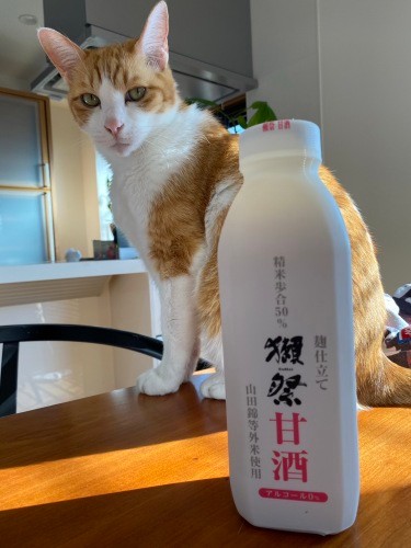 立派に成長した天ちゃん(千鶴子さん提供)