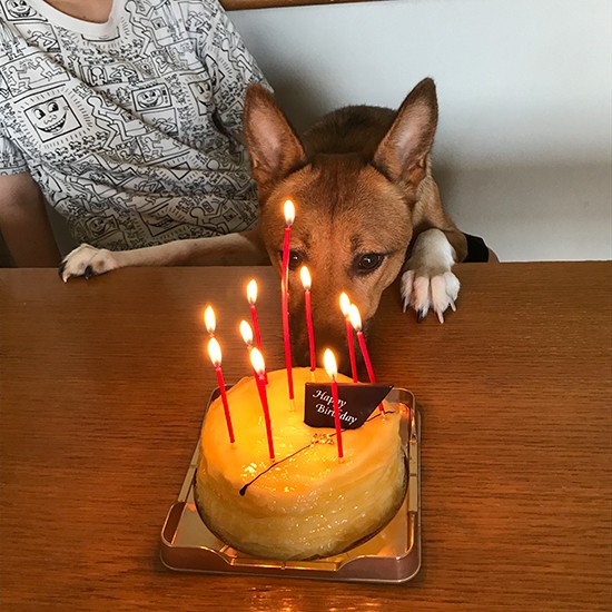 バースデーもいっしょに祝う