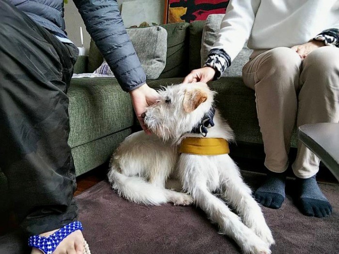 かわいくてかわいくて、夫婦でビスコッティを酒の肴に飲んでいたトライアル期間(大沼由希子さん提供)