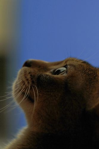 (c)岡崎リョウタ