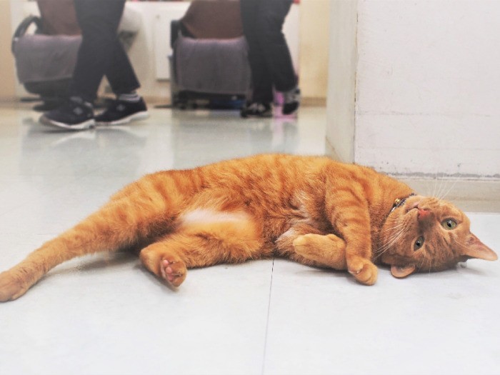 「きょうはちょっとヒマ……」