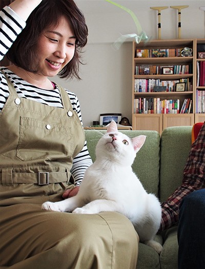 宙を飛ぶひらひらしたおもちゃが大好き。