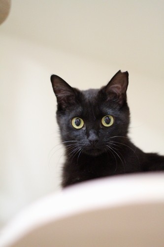 佐々木孝治 / 廣済堂出版