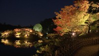 栗林公園で「紅葉ライトアップ」に向け試験点灯 20日からスタート 高松市