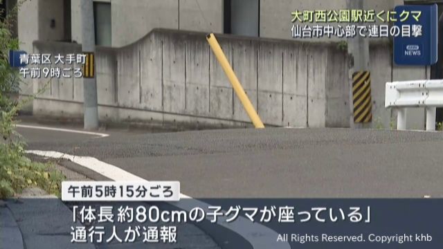 2日連続でクマの目撃情報 仙台市地下鉄東西線大町西公園駅近くの路上