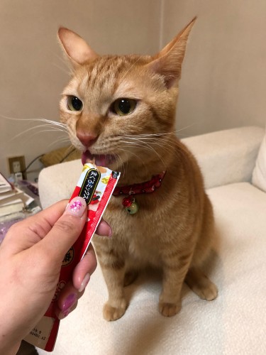 おやつって最高だわ