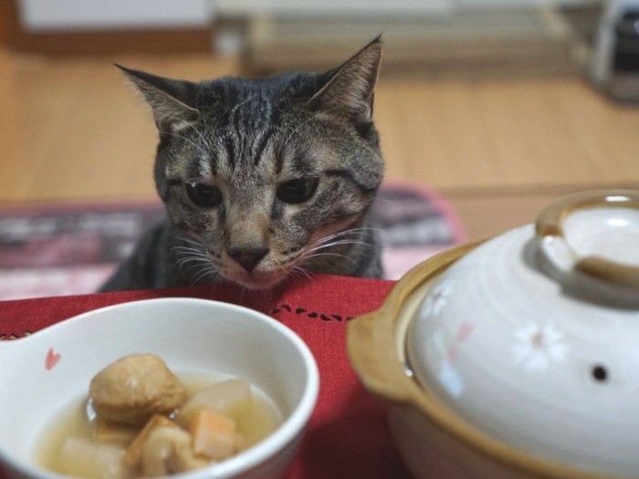 ママのおでんとそっくりだな