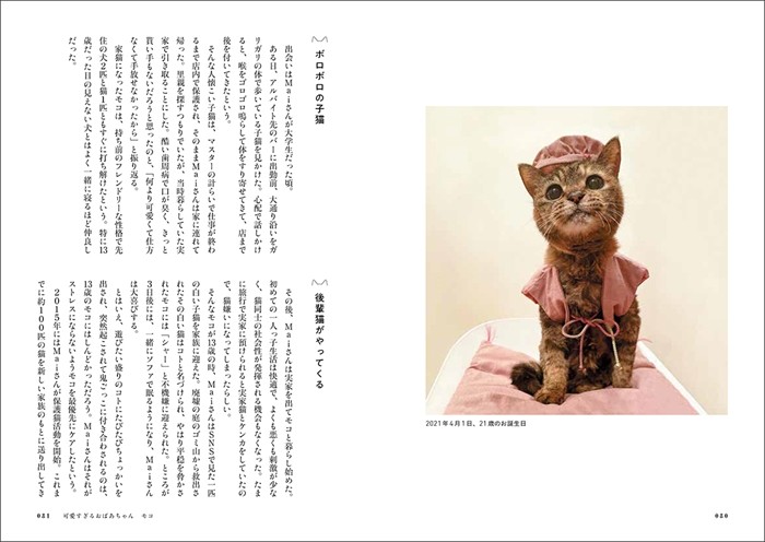 可愛すぎるおばあちゃん モコ(Yamamoto Mai撮影、「猫にひろわれた話」より、辰巳出版提供)