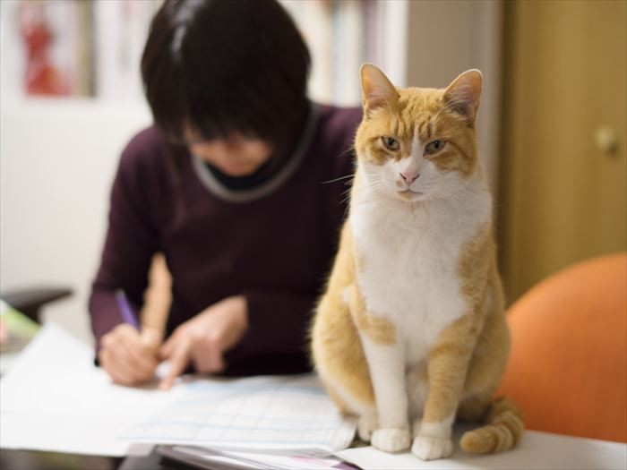 「遊んでくれないと逃げるよ」(小林写函撮影)