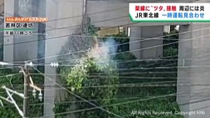 架線にツタが絡まり出火 東北線など一時運転見合わせ 仙台・若林区