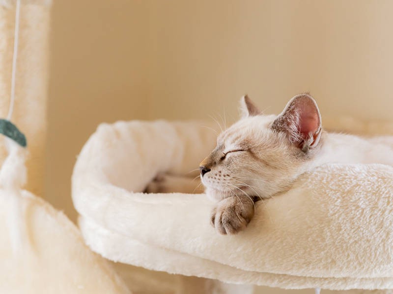 さて、これはどっちだ?(正解はヤム)