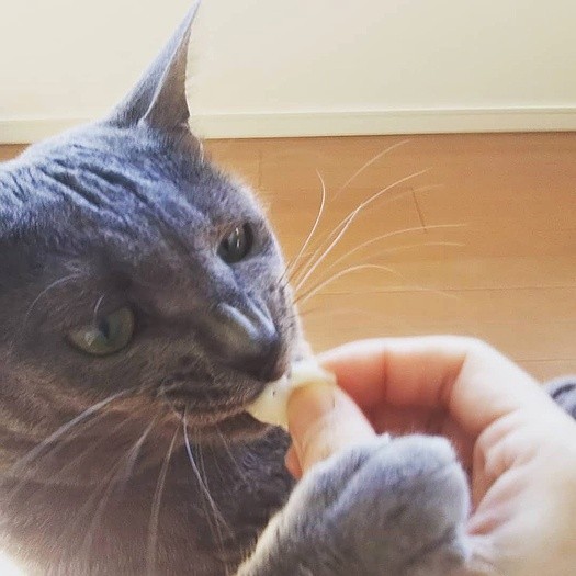 カニカマ最高だわ