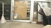 沿岸部にイノシシ出没 男性1人けが 香川・高松市