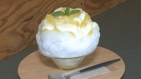 暑い!高松市では今年最高27.3℃ 「かき氷シーズン」到来へ…物価高騰の影響が 香川